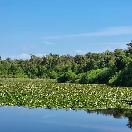 Apartment Strandnixe-1